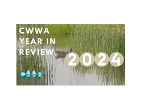 CWWA Year in Review 2024 Newsletter
